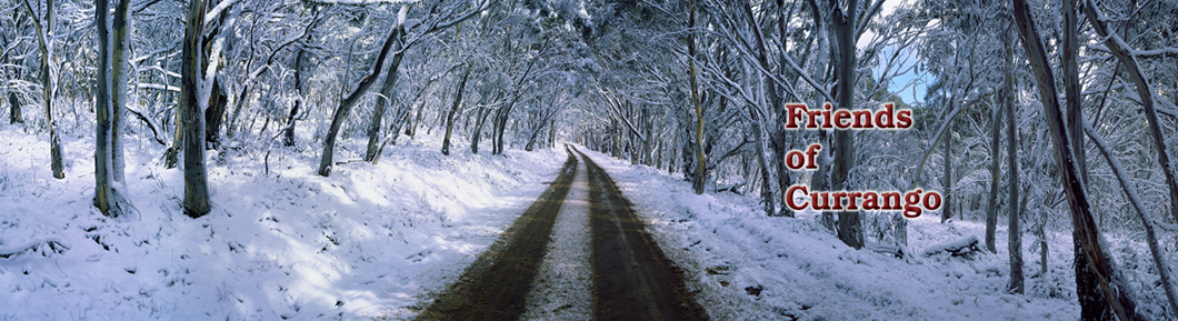 Top Road - snow